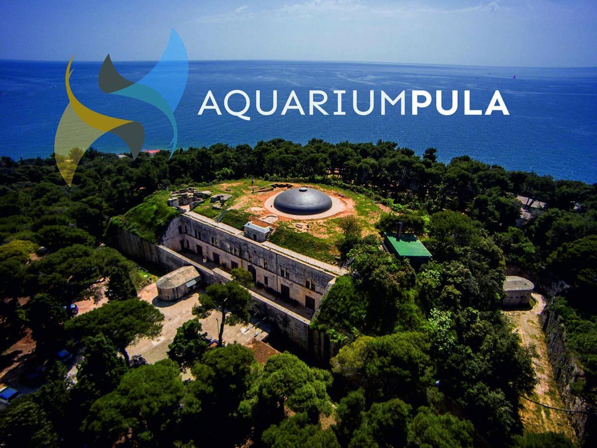 Arena Sunset, Sea Coloseum View, 2 Rooms Free Parking Пула Екстериор снимка